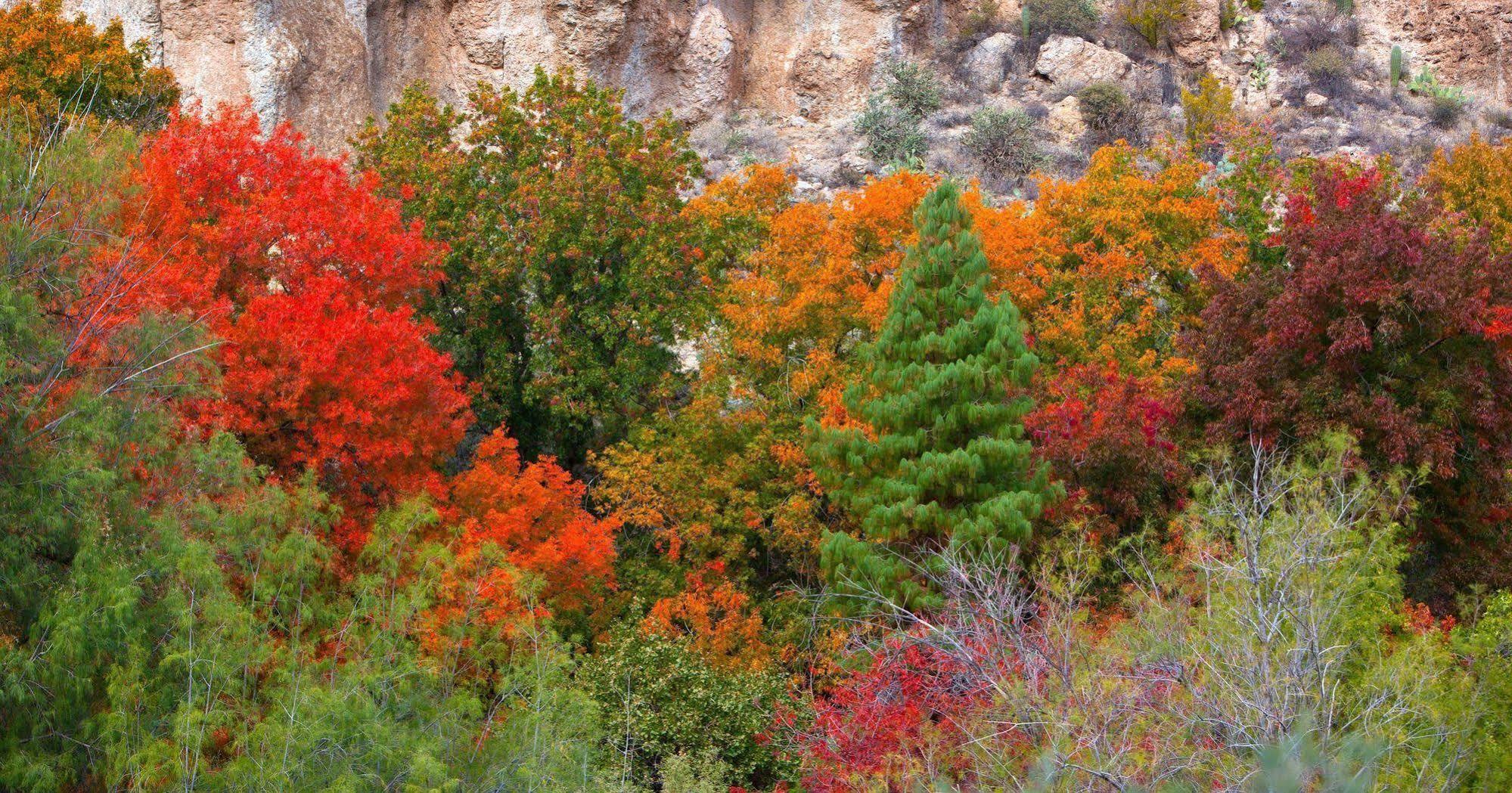 Holiday Inn Express Sedona - Oak Creek By Ihg Bagian luar foto